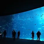 Canteras Aquarium * 大加那利岛拉斯帕尔马斯
