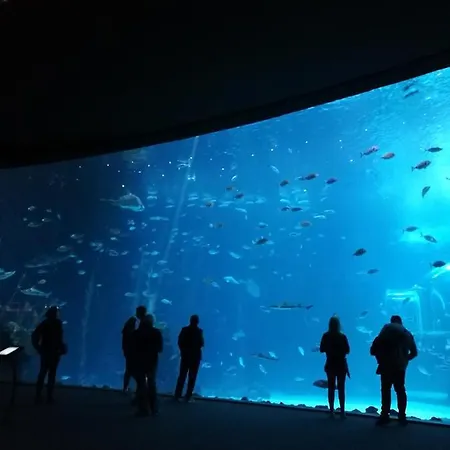Canteras Aquarium * Las Palmas de Gran Canárias