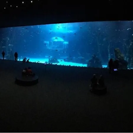 公寓 Canteras Aquarium *