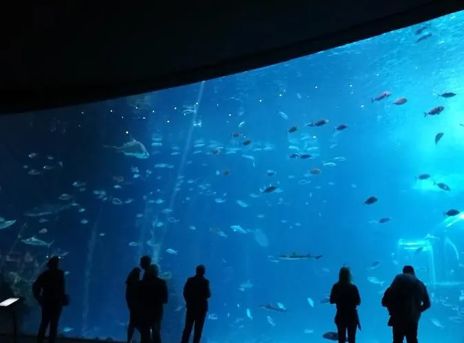 Canteras Aquarium * Las Palmas de Gran Canaria