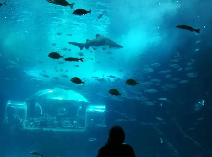 公寓 Canteras Aquarium *