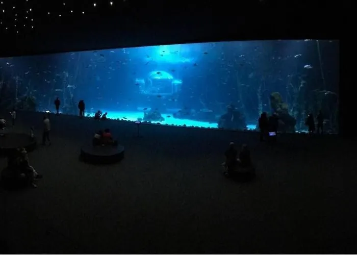 Appartement Canteras Aquarium *