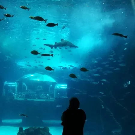 Apartamento Canteras Aquarium *